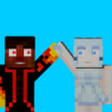 partner